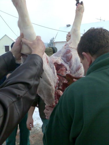 Vepřové hody - 29.12.2006